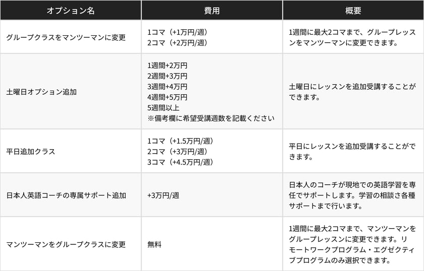 オプション料金説明